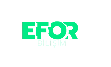 Efor Bilişim